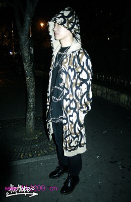 2008ͼƬ3